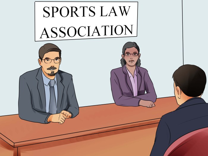 Sports lawyer