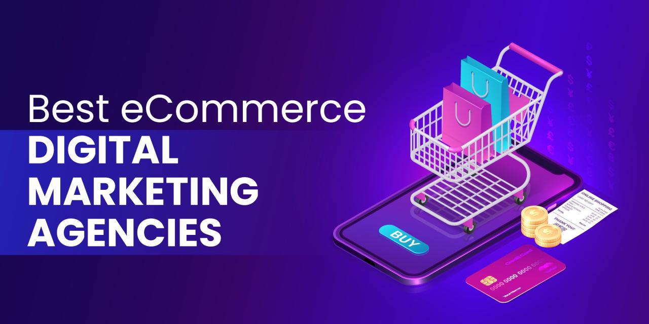 Ecommerce digital marketing agency