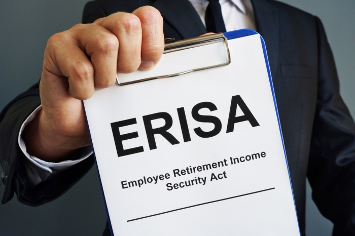 Erisa lawyer