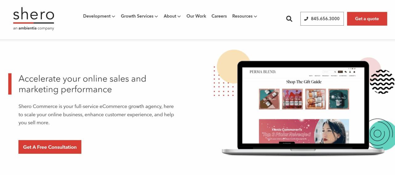 Ecommerce email marketing agency