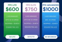 Google ppc management services