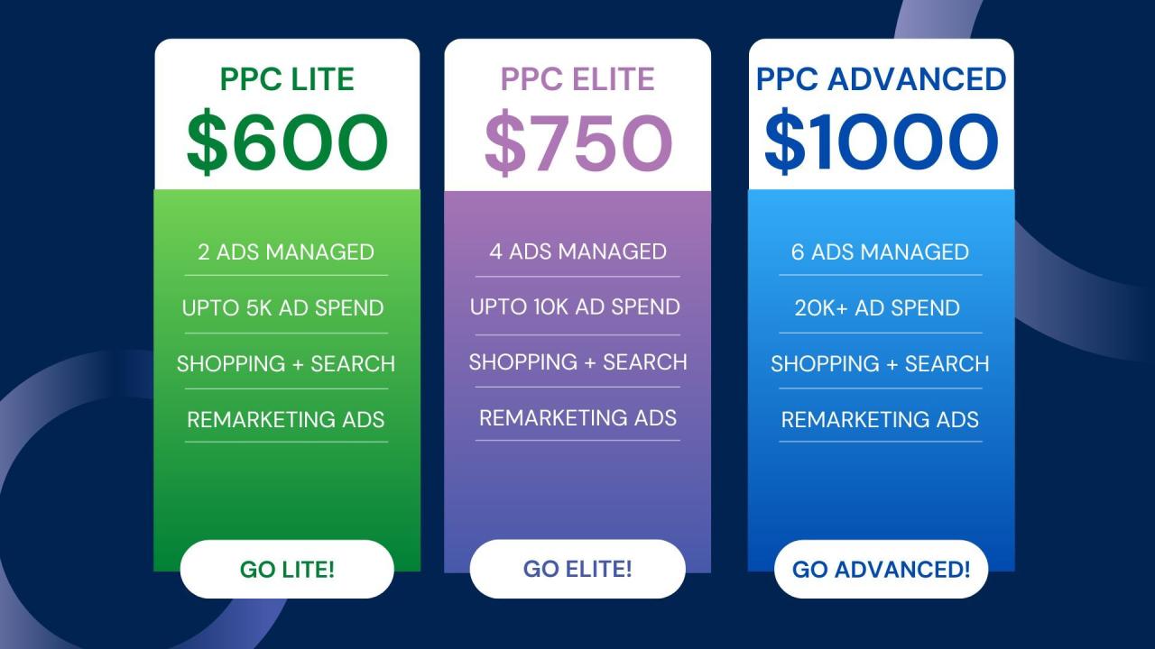 Google ppc management services