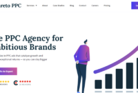 Ecommerce ppc agency
