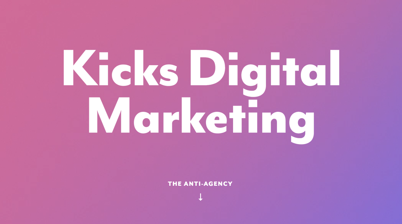 Digital kings marketing