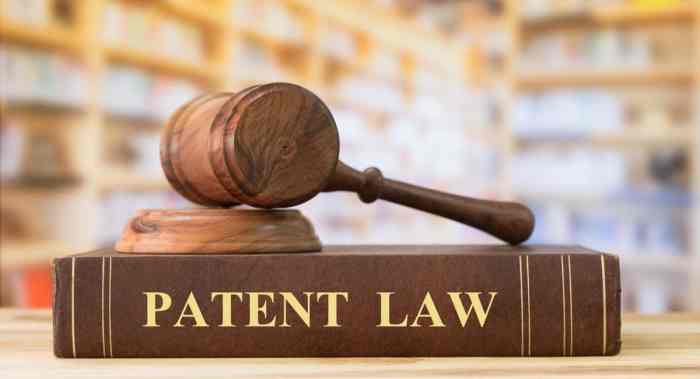 Patent attorneys