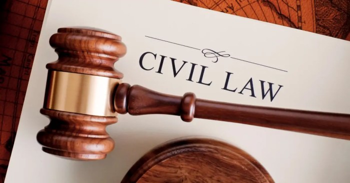 Civil court lawyer