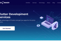 Top flutter developers
