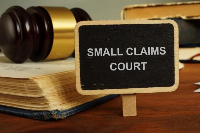 Small claims court lawyer